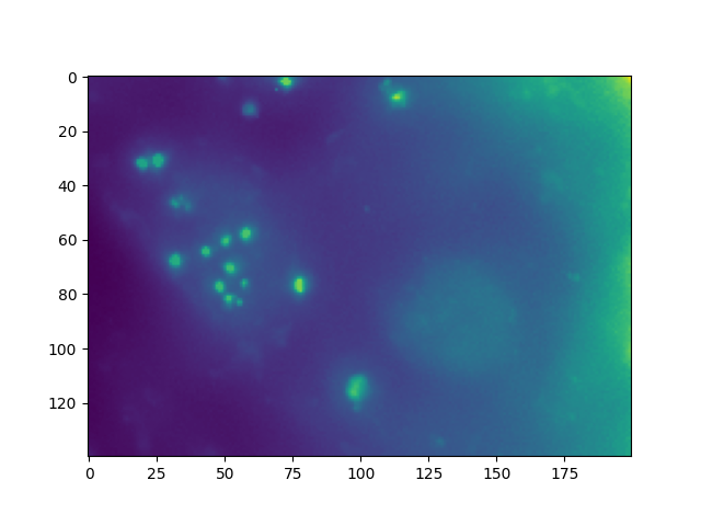 ../_images/sphx_glr_plot_image_corrections_002.png